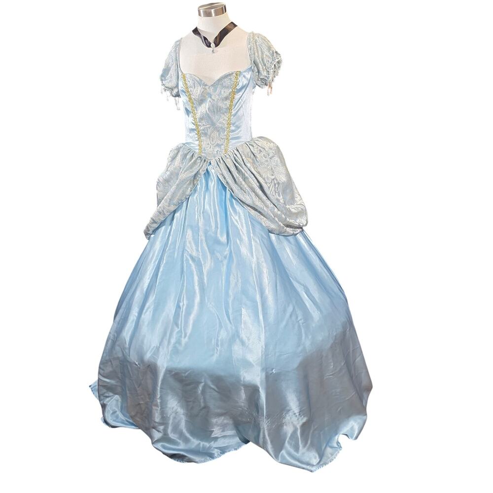 Enchanted Princess Halloween Costume Satin & Brocade Gown Hooped Petticoat READ